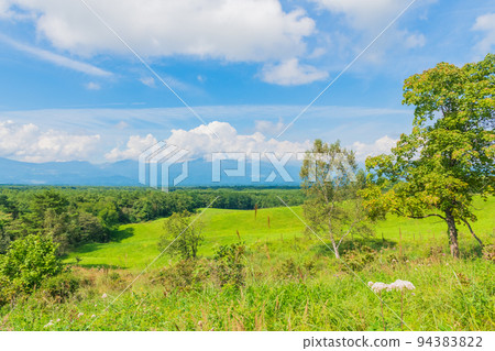 Karuizawa Asama Plateau Plateau image Sunny grassland image material 94383822