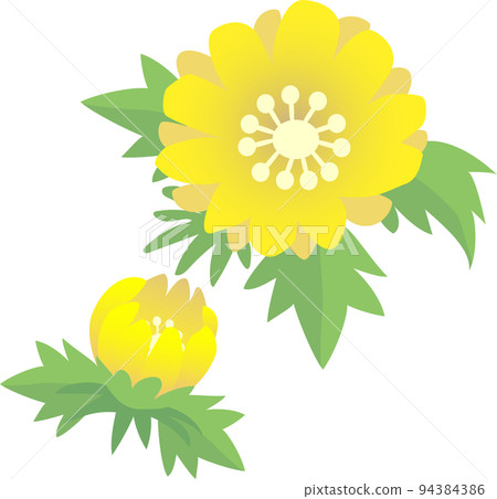 福庫格的花 福庫格的花 94384386