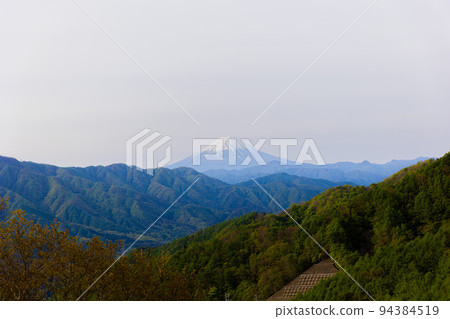 從柳澤山腳下看到的富士山 從柳澤山腳下看到的富士山 94384519
