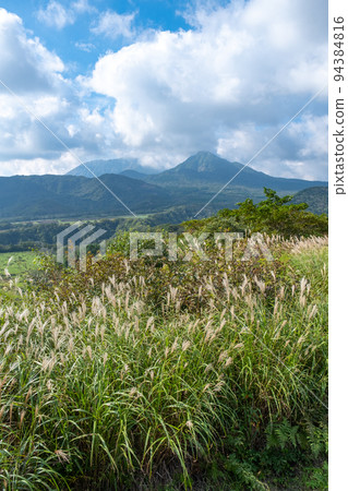Mt. Daisen, Mt. Karasugayama and pampas grass seen from the Kimedai Observatory in Okayama Prefecture 94384816