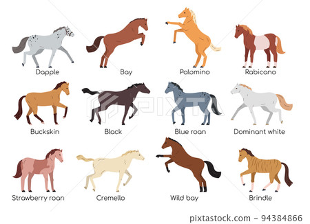 Horses Flat Set 94384866
