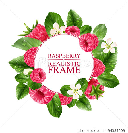 Raspberry Realistic Round Frame 94385609
