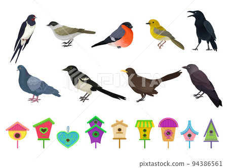 Different Feathered Birds and Nesting Box or Birdhouse Big Vector Set 94386561