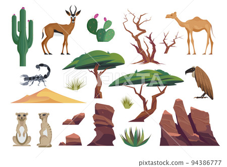 Desert Animals Icon Set Desert Animals Icon Set 94386777