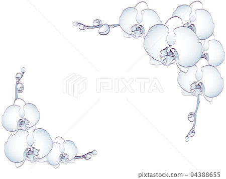 蝴蝶蘭藍框 蝴蝶蘭藍框 94388655