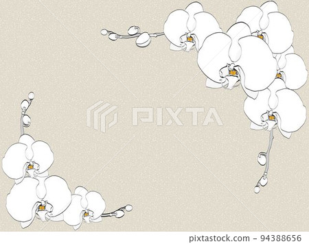 蝴蝶蘭，畫線，框架 94388656