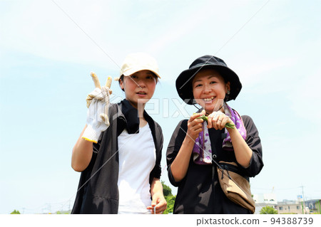 kitchen garden sisters kitchen garden sisters 94388739