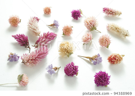 dried small flowers dried small flowers 94388969