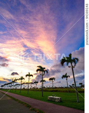 Palm tree road Palm tree road 94389148