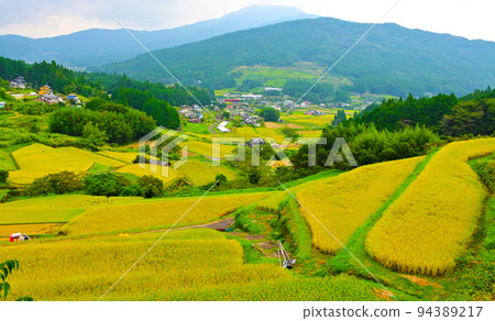 Top 100 Terraced Rice Fields Sakaori Rice Terraces in Autumn Top 100 Terraced Rice Fields Sakaori Rice Terraces in Autumn 94389217