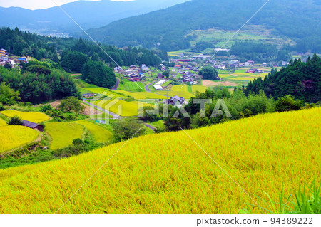 Top 100 Terraced Rice Fields Sakaori Rice Terraces in Autumn Top 100 Terraced Rice Fields Sakaori Rice Terraces in Autumn 94389222