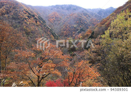 秩父瀧川溪谷的紅葉 秩父瀧川溪谷的紅葉 94389301
