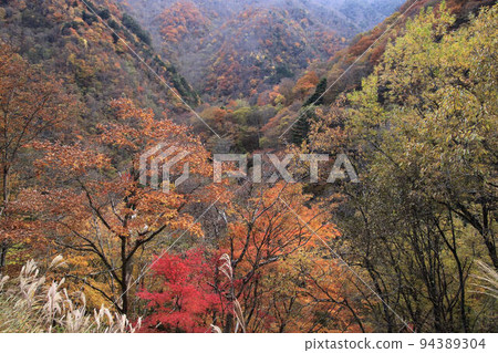 Autumn leaves in Chichibu Takigawa Valley 94389304