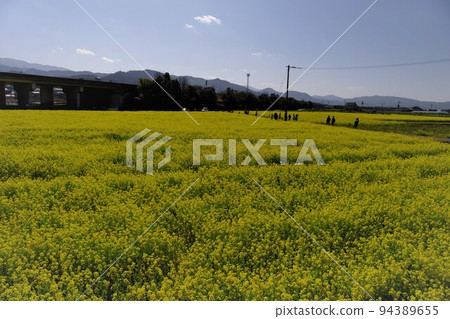 藍天、遠山、油菜花田 藍天、遠山、油菜花田 94389655