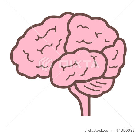 大腦側視圖中樞神經大腦 94390085