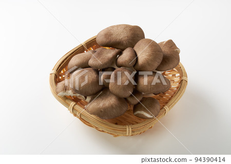 Mushroom white background image Mushroom white background image 94390414