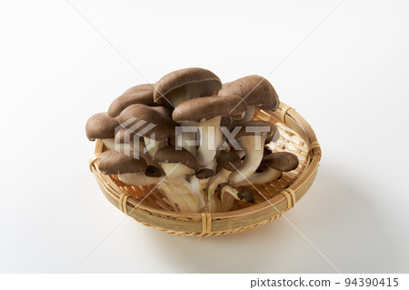 Mushroom white background image Mushroom white background image 94390415