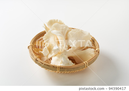 Mushroom white background image Mushroom white background image 94390417