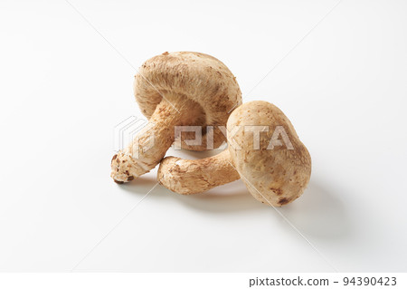 蘑菇白色背景圖片 94390423