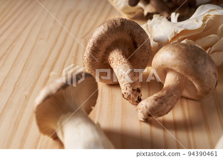 蘑菇圖片 蘑菇圖片 94390461