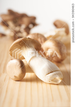蘑菇圖片 蘑菇圖片 94390463