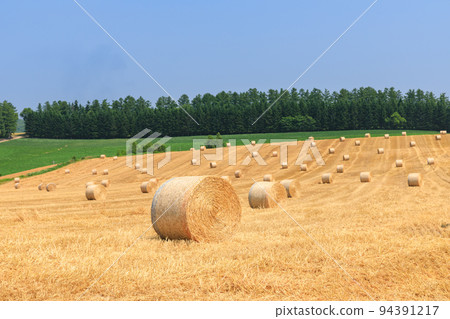 Hokkaido_Biei landscape with barley grass rolls Hokkaido_Biei landscape with barley grass rolls 94391217