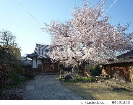 源氏寺（東京都文京區） 94391290
