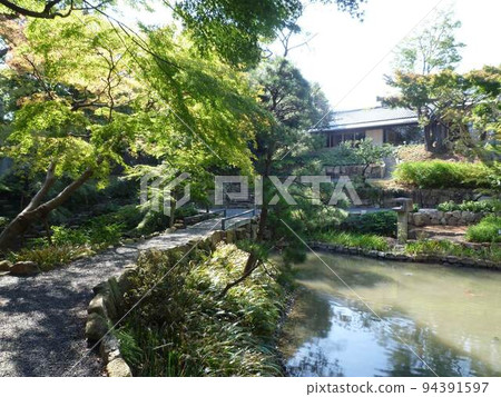 向山庭園（東京都練馬區） 94391597