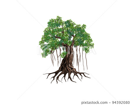 tree and roots logo templates with circular shape, oak tree with the gap between the tree and the root to fill in the writing. 94392080