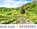 Iwate mountain illustration 3 94392662