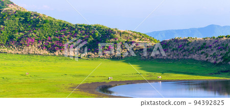 ``Aso Kusasenrigahama'' waterside and horse riding scenery in the season when Miyama Kirishima blooms 94392825