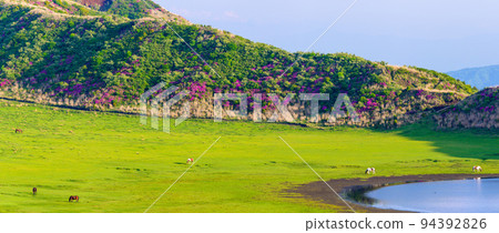 ``Aso Kusasenrigahama'' waterside and horse riding scenery in the season when Miyama Kirishima blooms 94392826