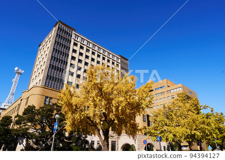 A row of ginkgo trees on Nihon Odori in Yokohama during the autumn leaves season A row of ginkgo trees on Nihon Odori in Yokohama during the autumn leaves season 94394127