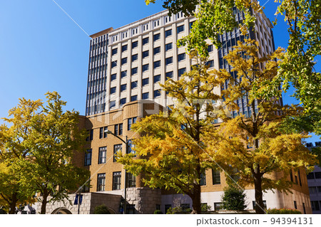 A row of ginkgo trees on Nihon Odori in Yokohama during the autumn leaves season 94394131