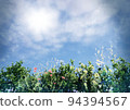 for refreshing scenery. A perfect set of flowers, grass and blue sky! 94394567