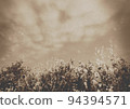 Scenery of nostalgic flowers and plants. Recommended as a background material! 94394571