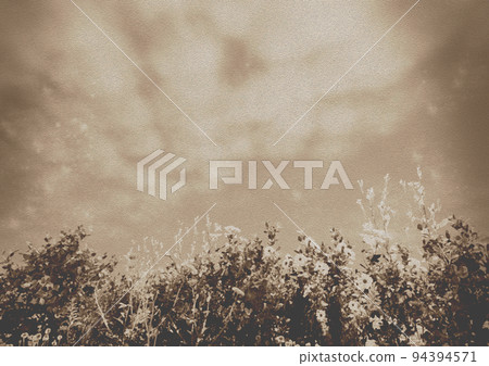 Scenery of nostalgic flowers and plants. Recommended as a background material! 94394571