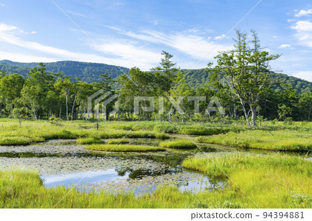 Oze National Park, rich in nature Oze National Park, rich in nature 94394881