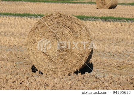 grass roll (rice straw roll) 94395653