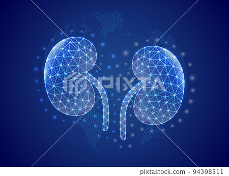 Kidneys 3d low poly symbol with blue world map background. Urinary concept design illustration. Organ anatomy polygonal symbol with connected dots 94398511