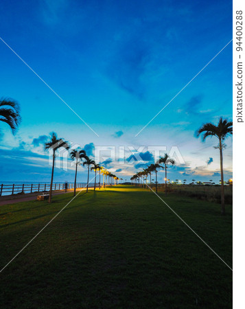 Palm tree road Palm tree road 94400288