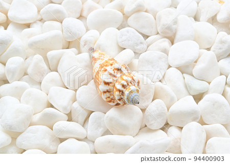 Seashell Seashell 94400903