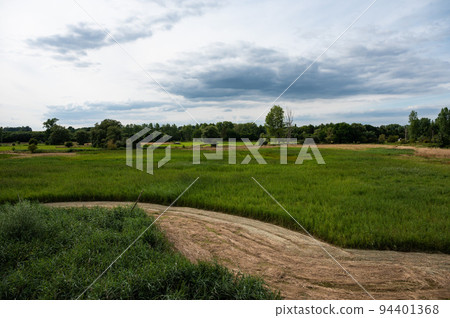 Agriculture fields and green meadows against blue sky at the Doode Beemde nature resevre, Belgium Agriculture fields and green meadows against blue sky at the Doode Beemde nature resevre, Belgium 94401368