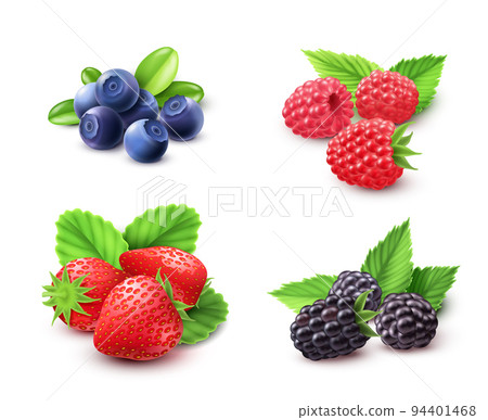 Berry Realistic Set 94401468