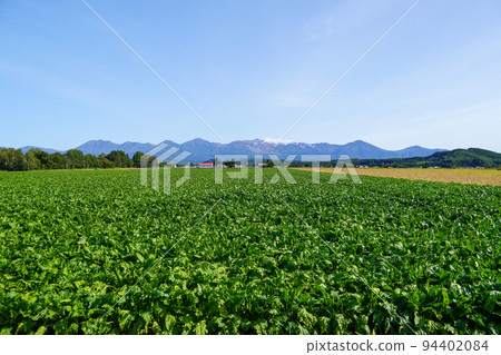 Tokachidake mountain range seen from a certain point in Biei Tokachidake mountain range seen from a certain point in Biei 94402084