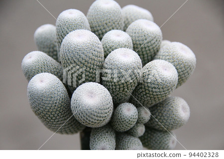 epiteransa moon world epiteransa moon world 94402328