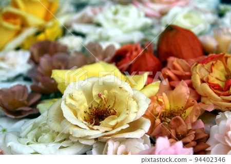 Bright flower hand water 94402346