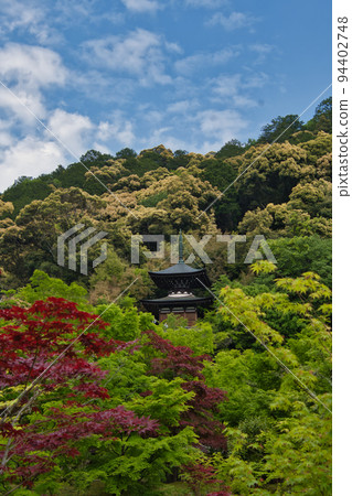 日本京都 Eikando 樹木環繞的 Tahoto 塔 94402748