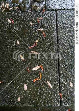 護國寺被雨水浸濕的石板路上的紅色落葉 護國寺被雨水浸濕的石板路上的紅色落葉 94403169