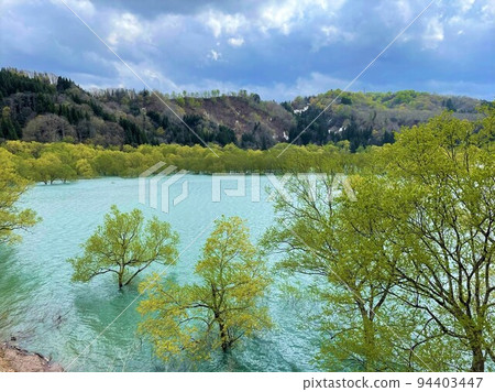 blue mangrove forest blue mangrove forest 94403447